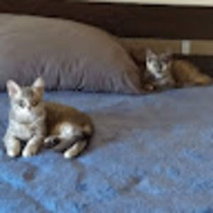 Meet your Posher, Nina